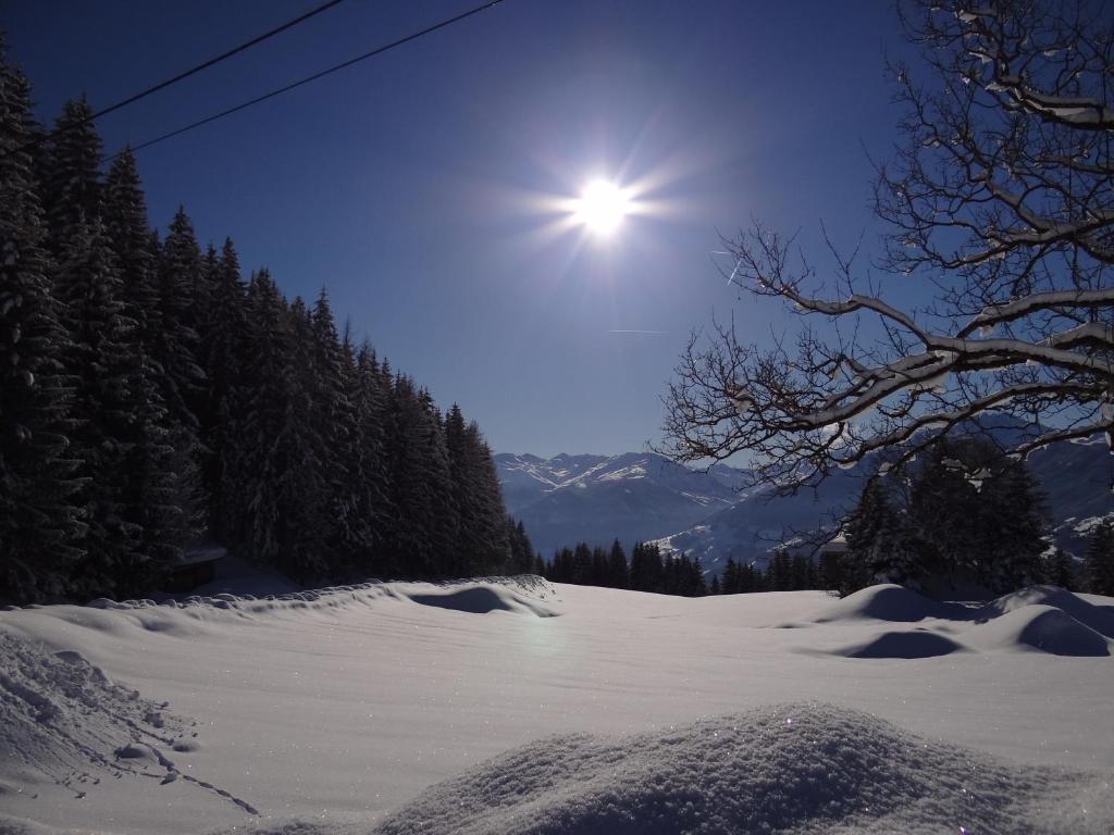 Das Sonnleiten Ski- Und Motorradhotel Bruck Im Zillertal Bruck am Ziller Ngoại thất bức ảnh
